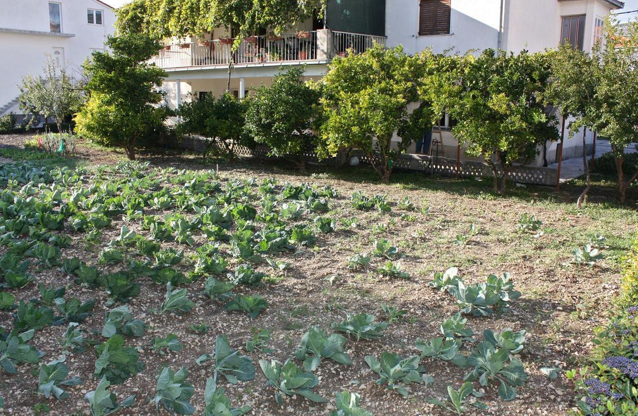 Apartments With A Parking Space Kastel Stafilic, Kastela - 5219 외부 사진